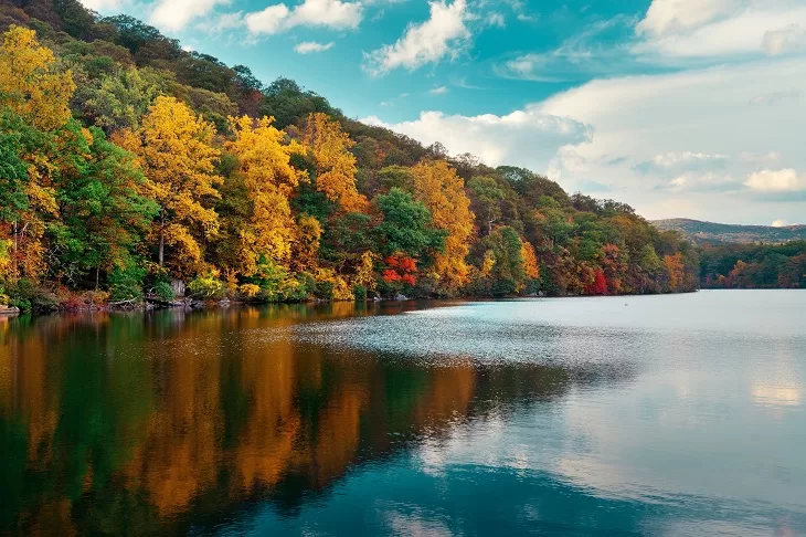 Lakes In Tennessee