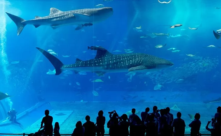 Best Aquariums In Michigan